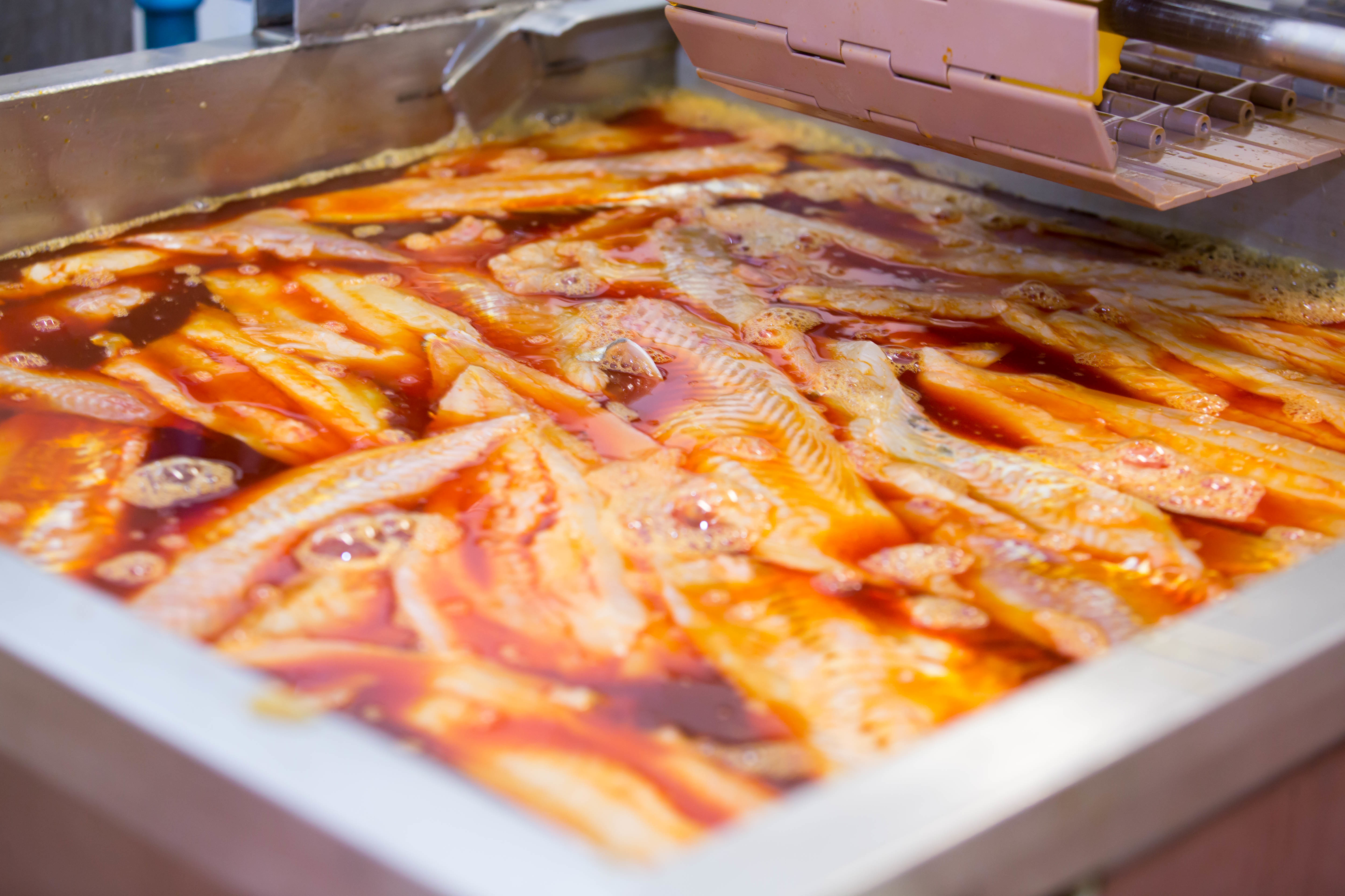 Haddock fillets in the brine solution