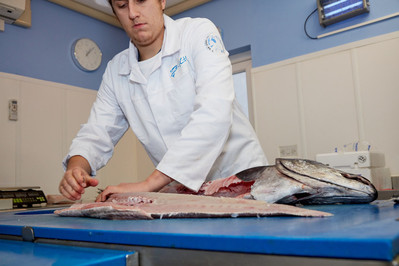 A fishmonger filleting cod