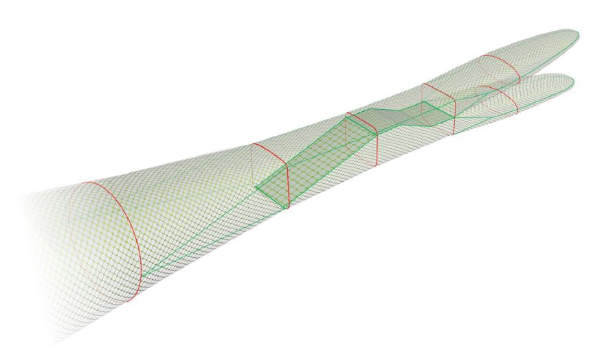 An amity net grid illustration