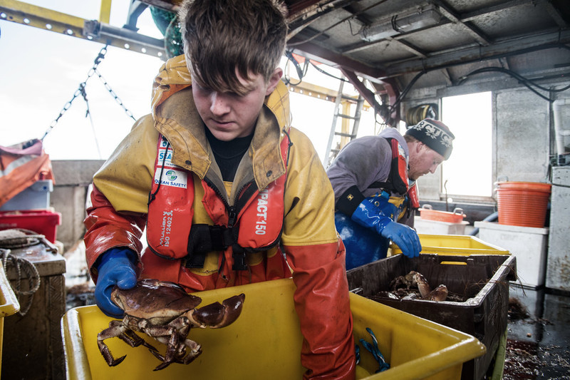 Fishermen working together to sort their catch of crabs