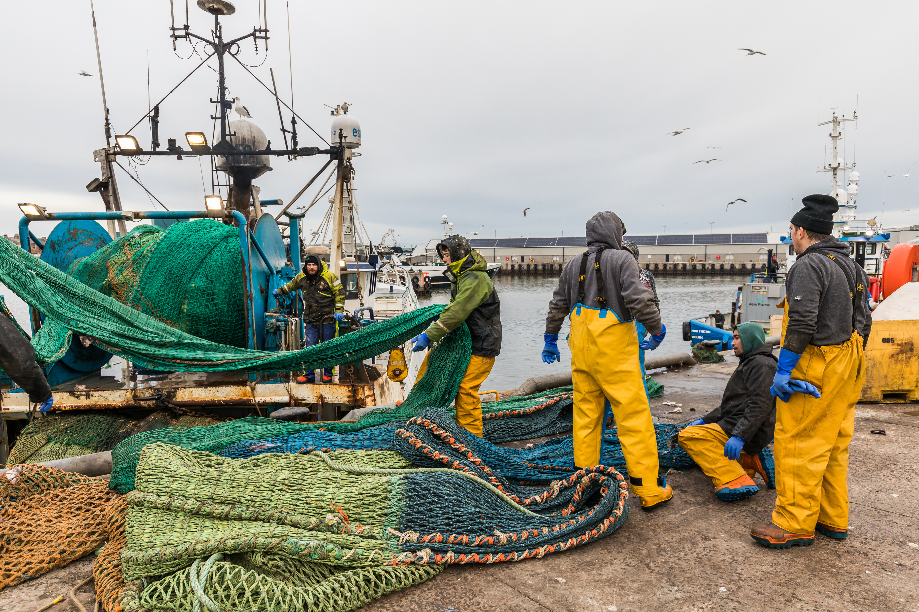 Fishing crew working with nets on pier