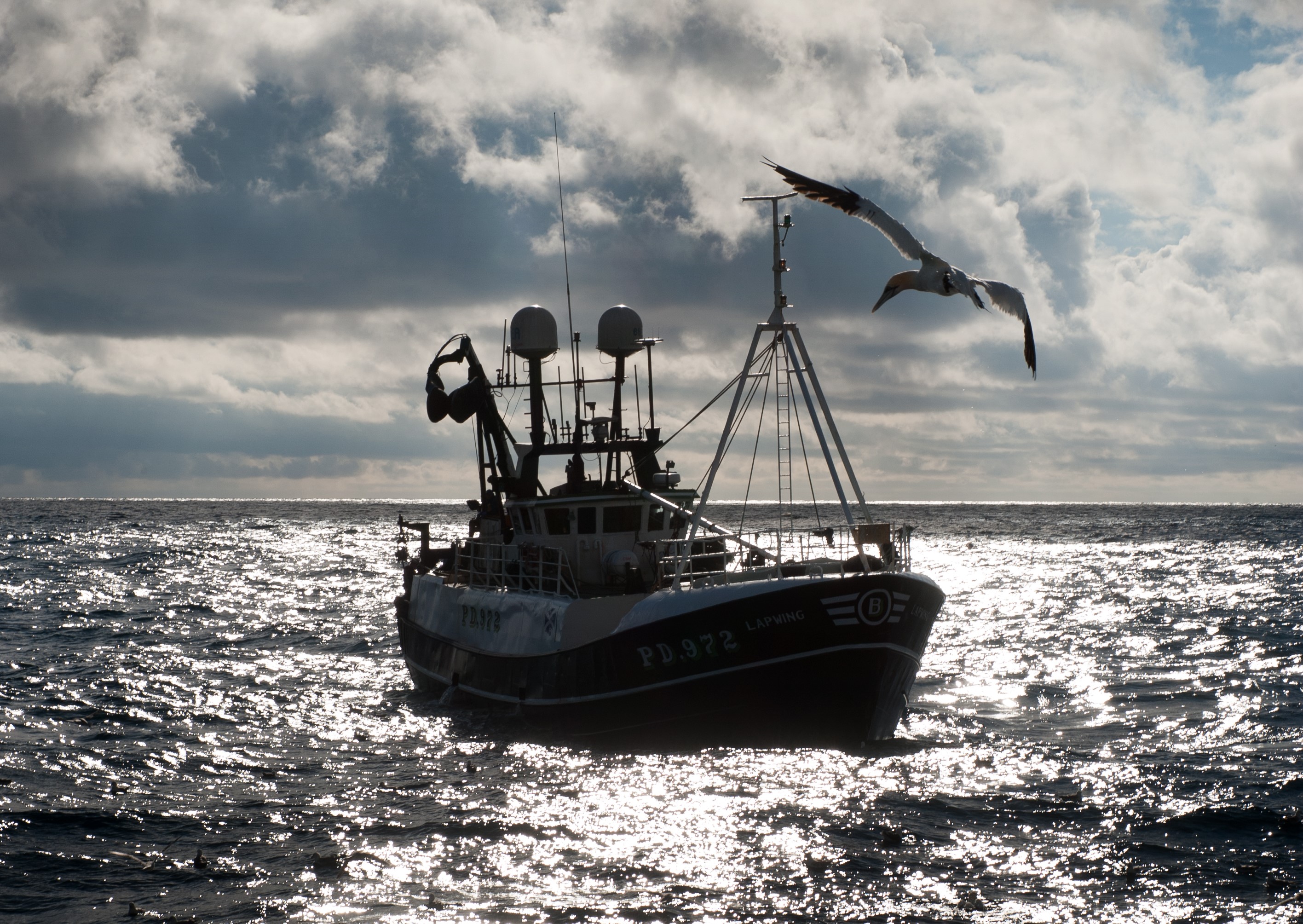 Fishing vessel at sea