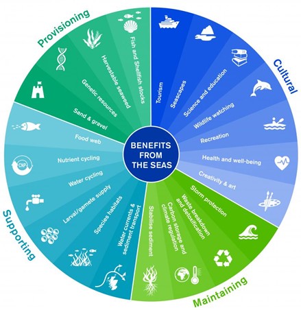 Coloured wheel showing list of benefits from the seas organised into four categories: provisioning, cultural, supporting and maintaining.