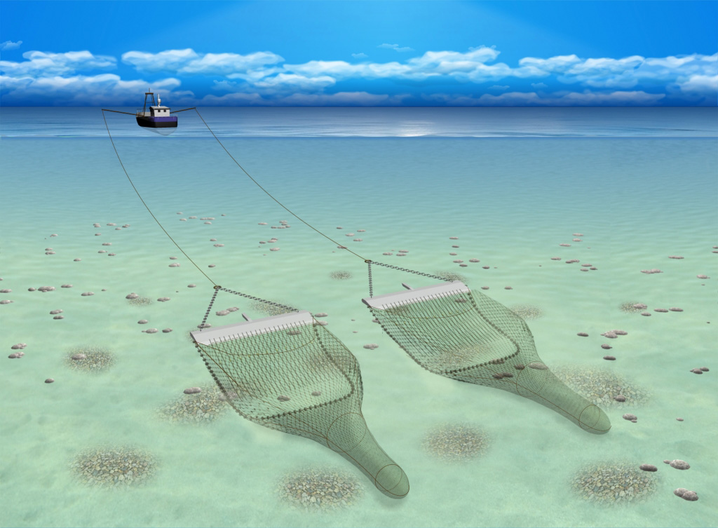 Vessel towing two beam trawls along the seabed