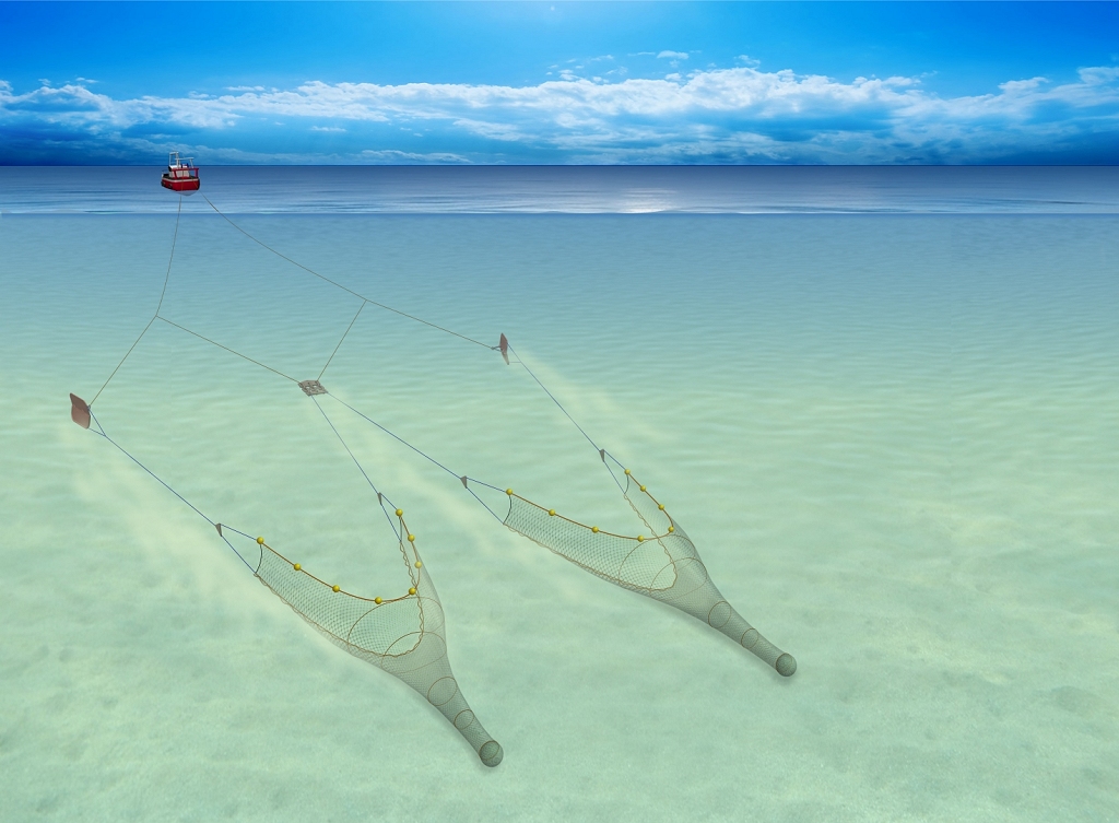 Twin rig trawls being towed along the seabed